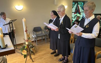 Salvatorianerin-Sein